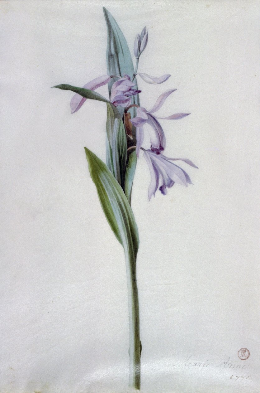 Blomma bitar av Marie Anne