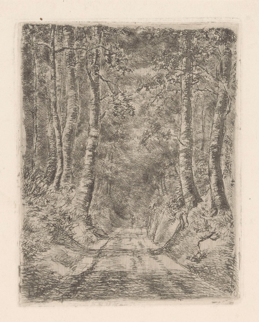 Skog längs en nedsänkt väg av Marie Adolphine van der Goes van Dirxland