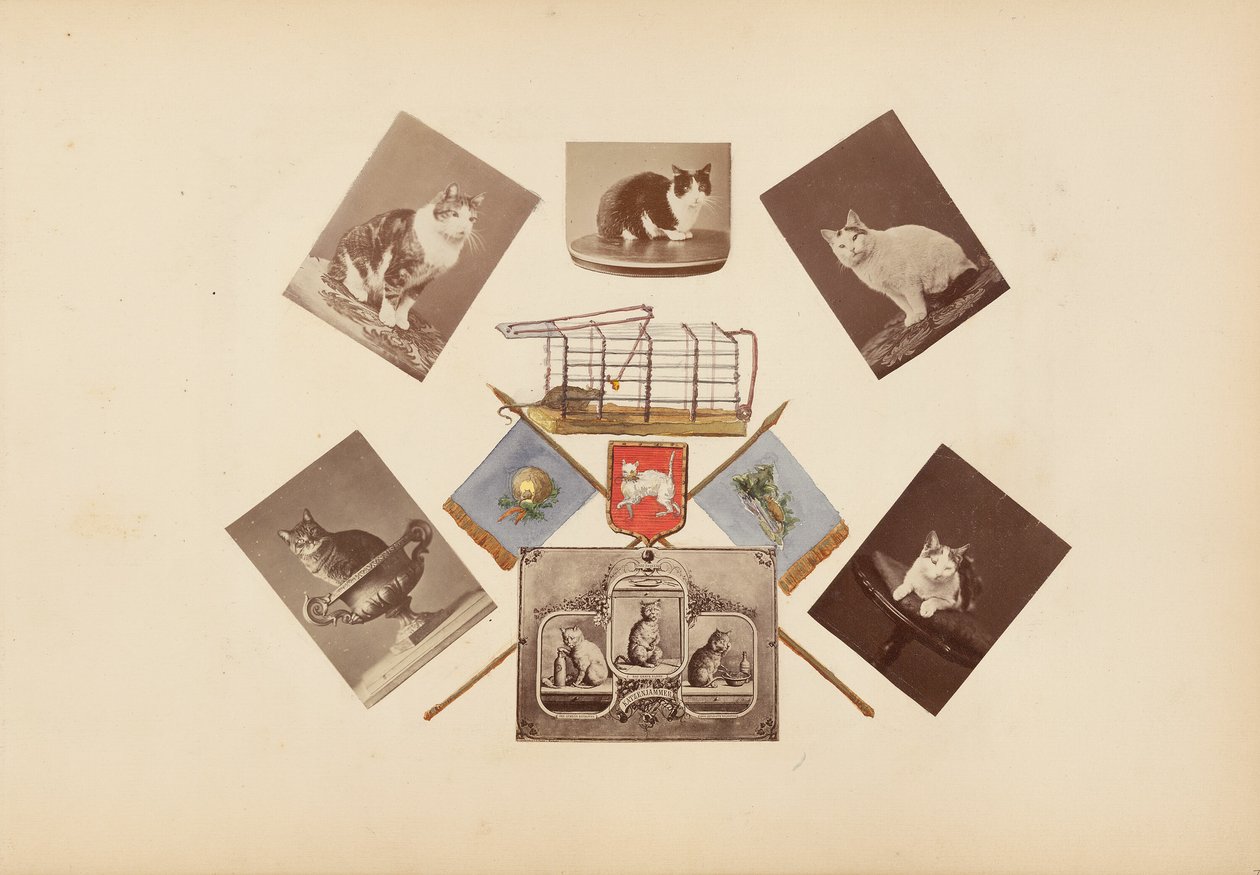 Madame B-albumet av Marie Blanche Hennelle Fournier