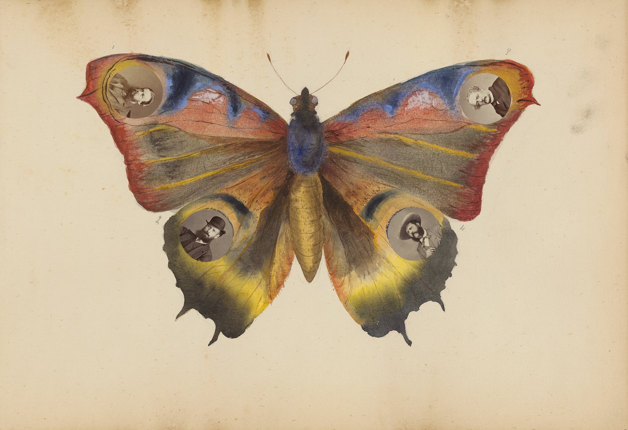 The Madame B Album av Marie Blanche Hennelle Fournier