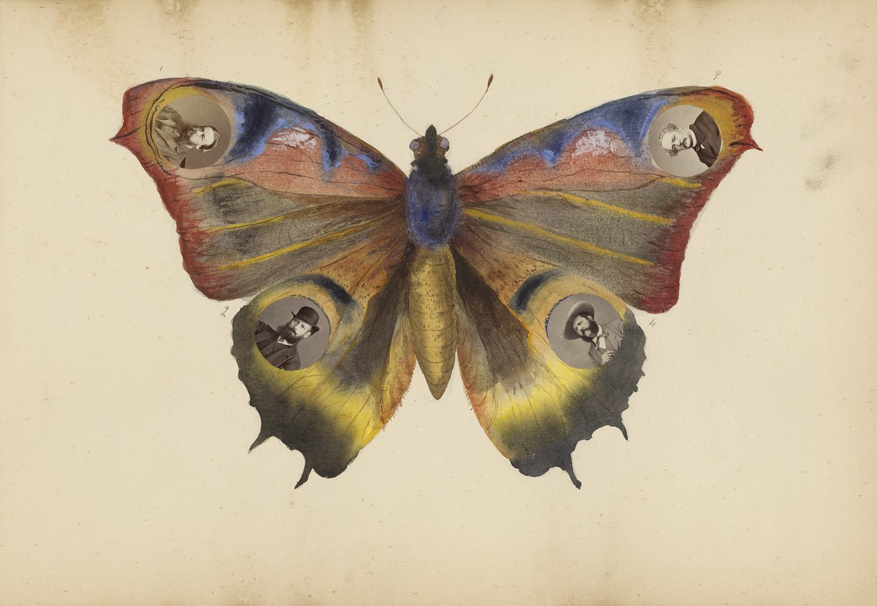 The Madame B Album, 1870-talet av Marie Blanche Hennelle Fournier