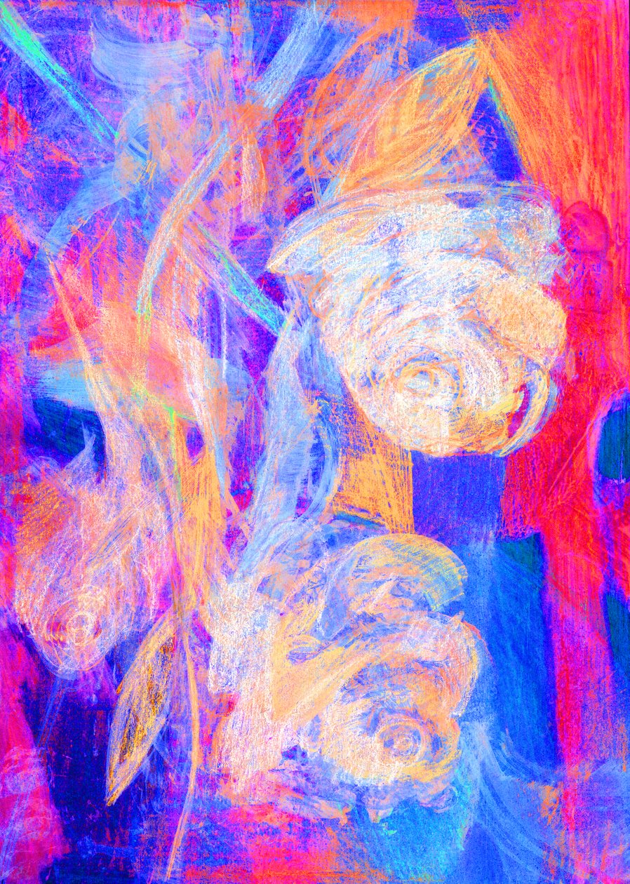 Rosa rosor, 2023 (digital bild) av Marina Falco