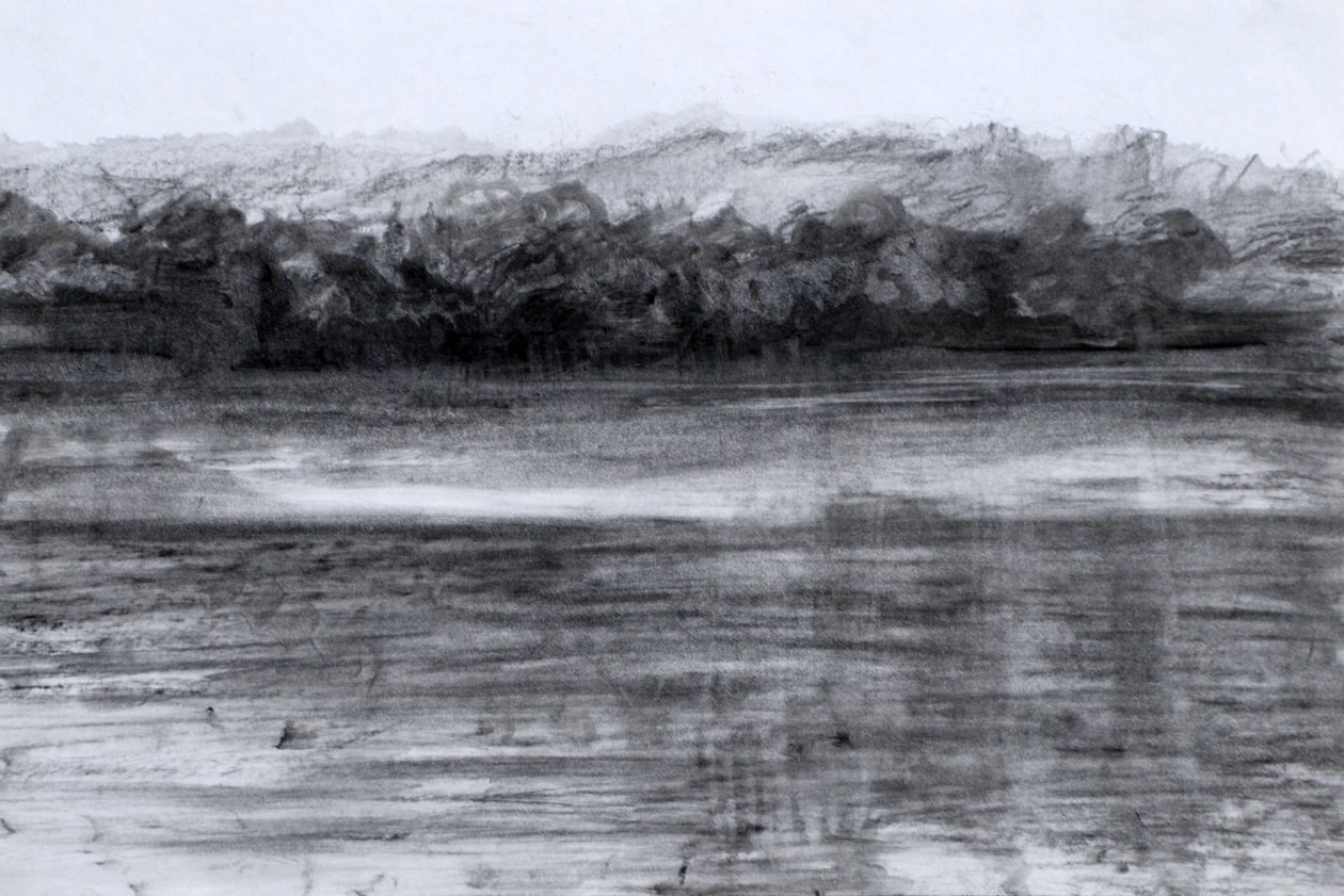 The Lake, 2023 (olja och kol på papper) av Marina Falco