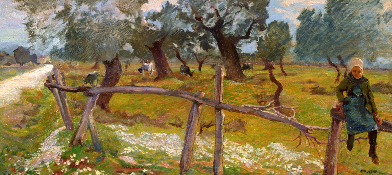Olivlund med bonde av Mario Puccini