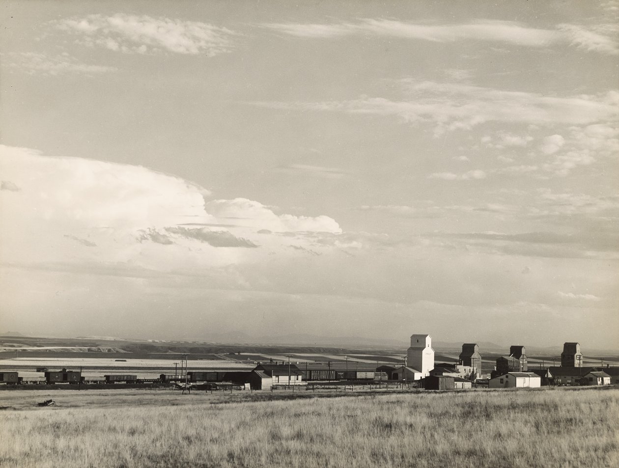 Spannmålselevatorer i Mellanvästern, "USA:s brödkorg" / De stora slätterna, Carter, Montana av Marion Post Wolcott