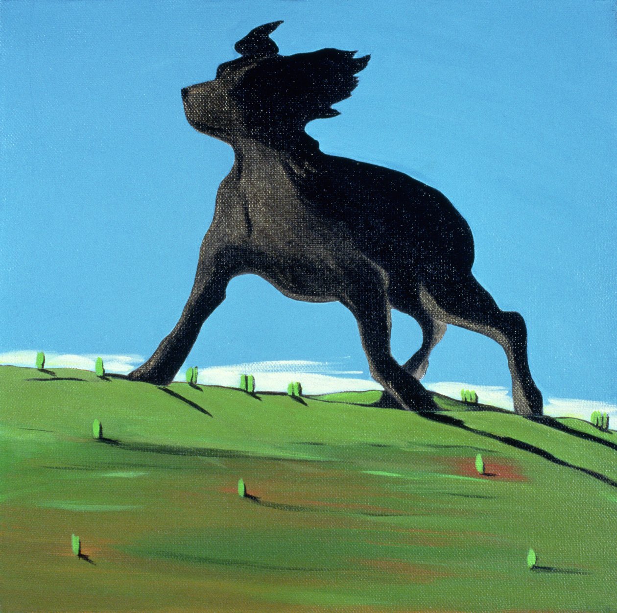 Amazing Black Dog, 2000 (akryl på duk) av Marjorie Weiss