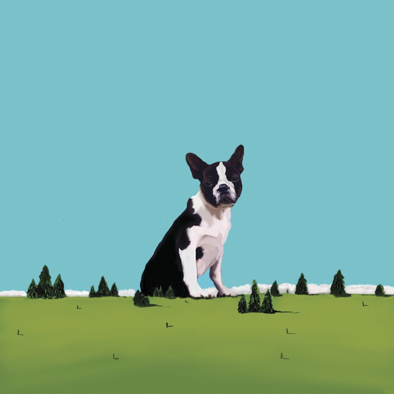Boston Terrier, 2008 (akryl på duk) av Marjorie Weiss