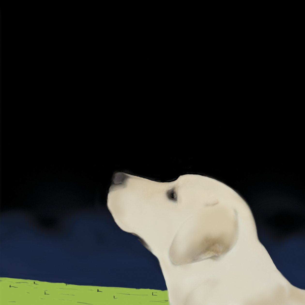 Yellow Dog Profile, 2008 (akryl på duk) av Marjorie Weiss
