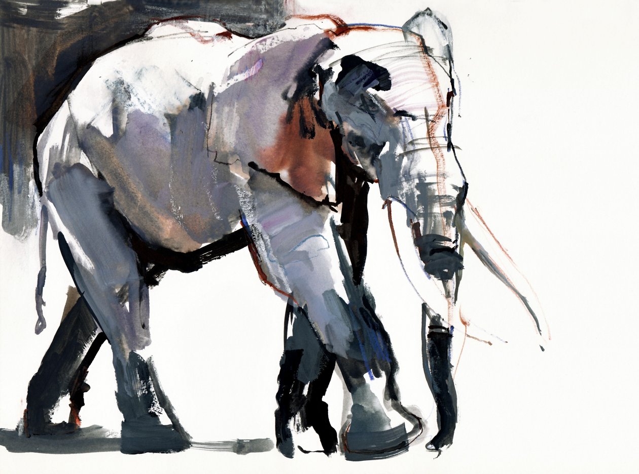 African Elephant, 2012, (bland media på papper) av Mark Adlington
