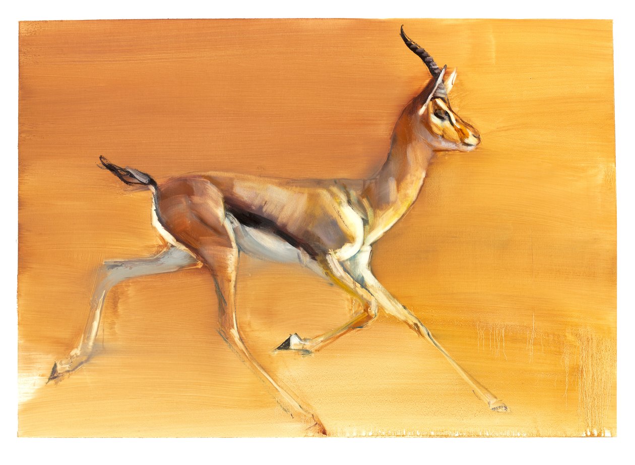 Arabisk gasell, 2010 (olja på papper) av Mark Adlington