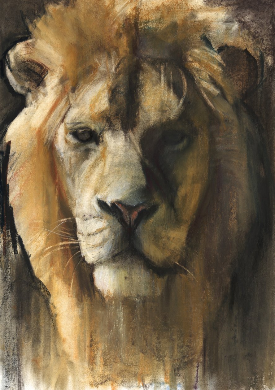 Asiatic Lion, 2015, (pigment, pastell och conté på papper) av Mark Adlington