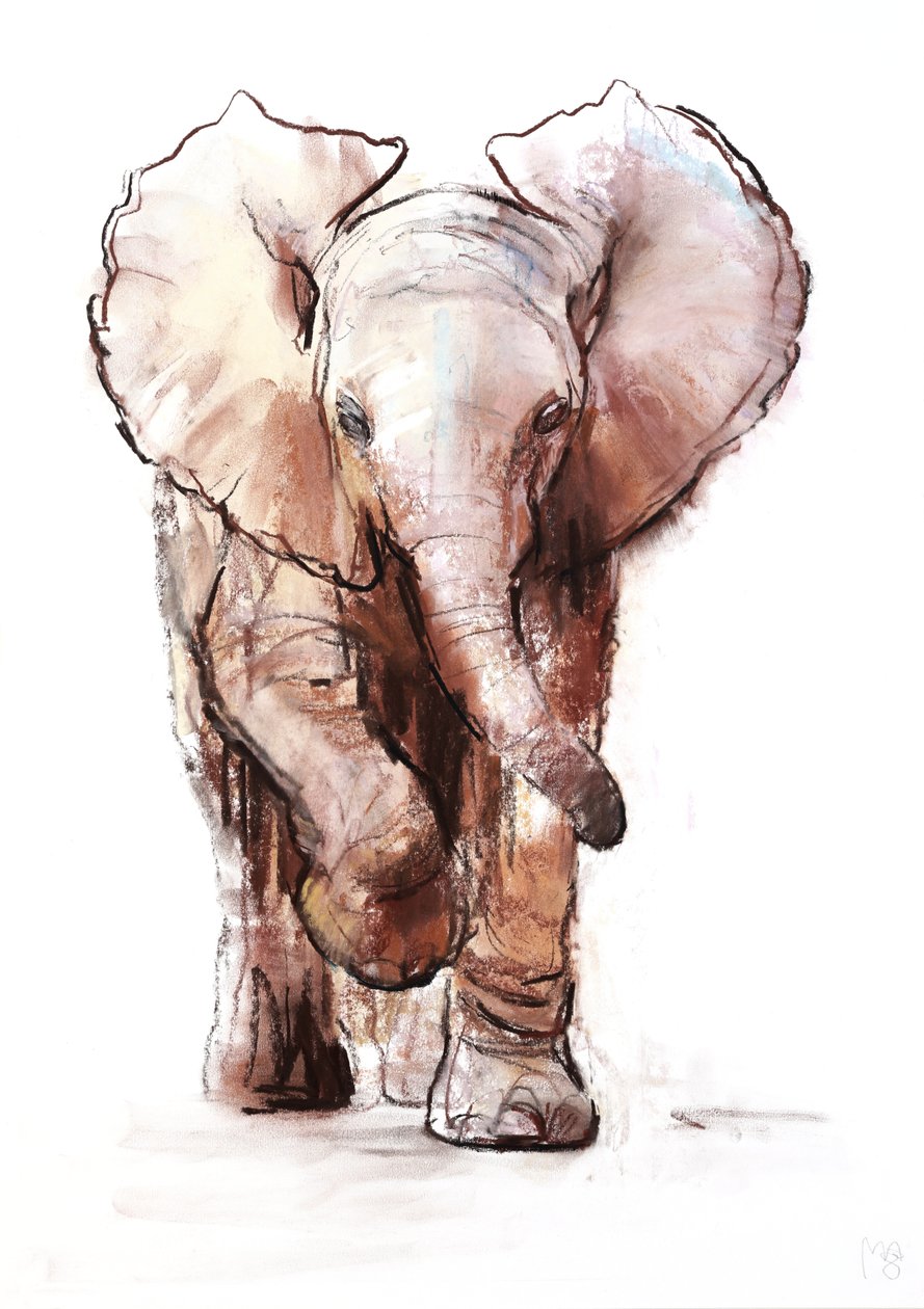 Baby elefant, Loisaba, 2018 av Mark Adlington