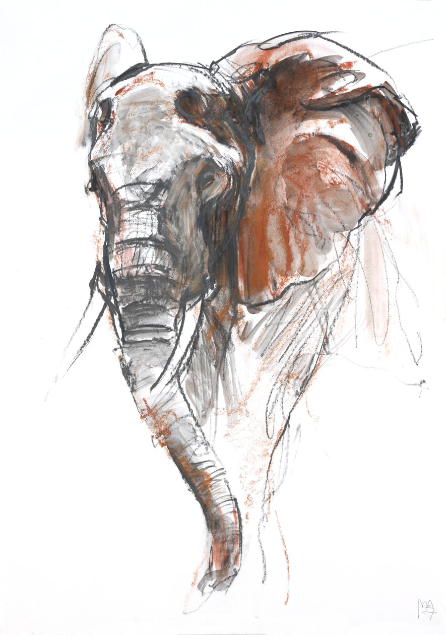 Vacker kvinnlig elefant, Loisaba, 2018 av Mark Adlington