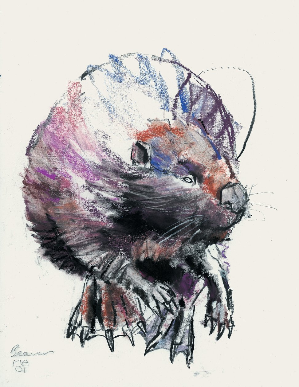 Bäver, 2001 (charcoal und conte på papper) av Mark Adlington