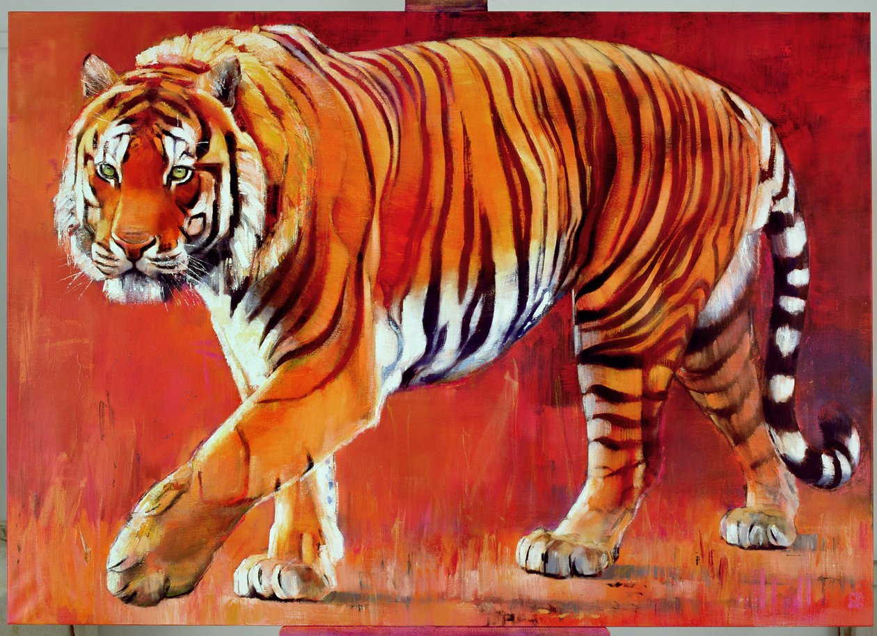 Bengalisk tiger av Mark Adlington