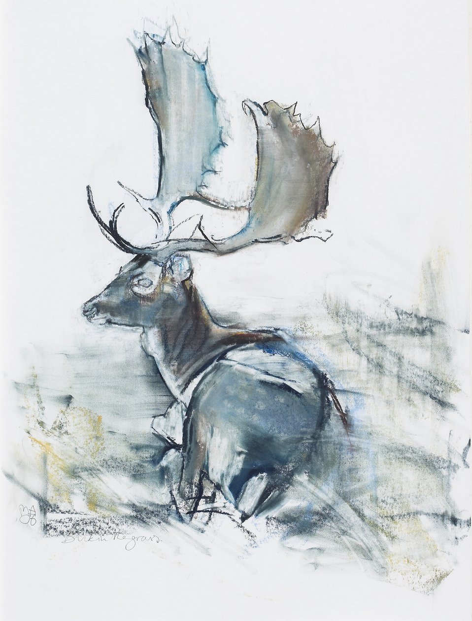 Buck in the Grass, 2006 (charcoal und conte på papper) av Mark Adlington