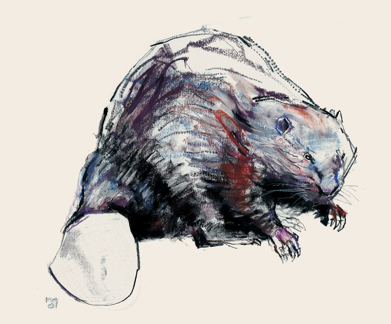 Castor Fiber, 2001 (kol und conte på papper) av Mark Adlington