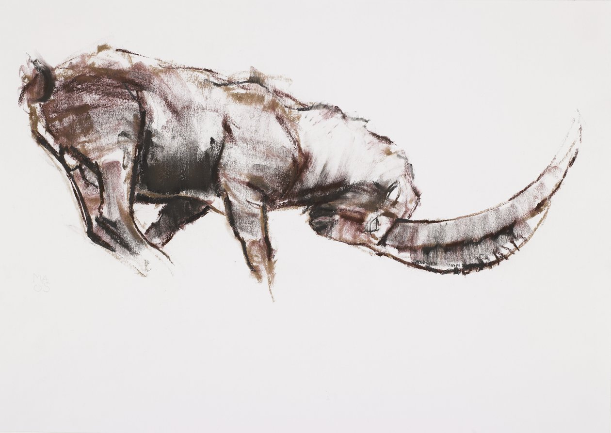 Utmaning (charcoal und conte på papper) av Mark Adlington