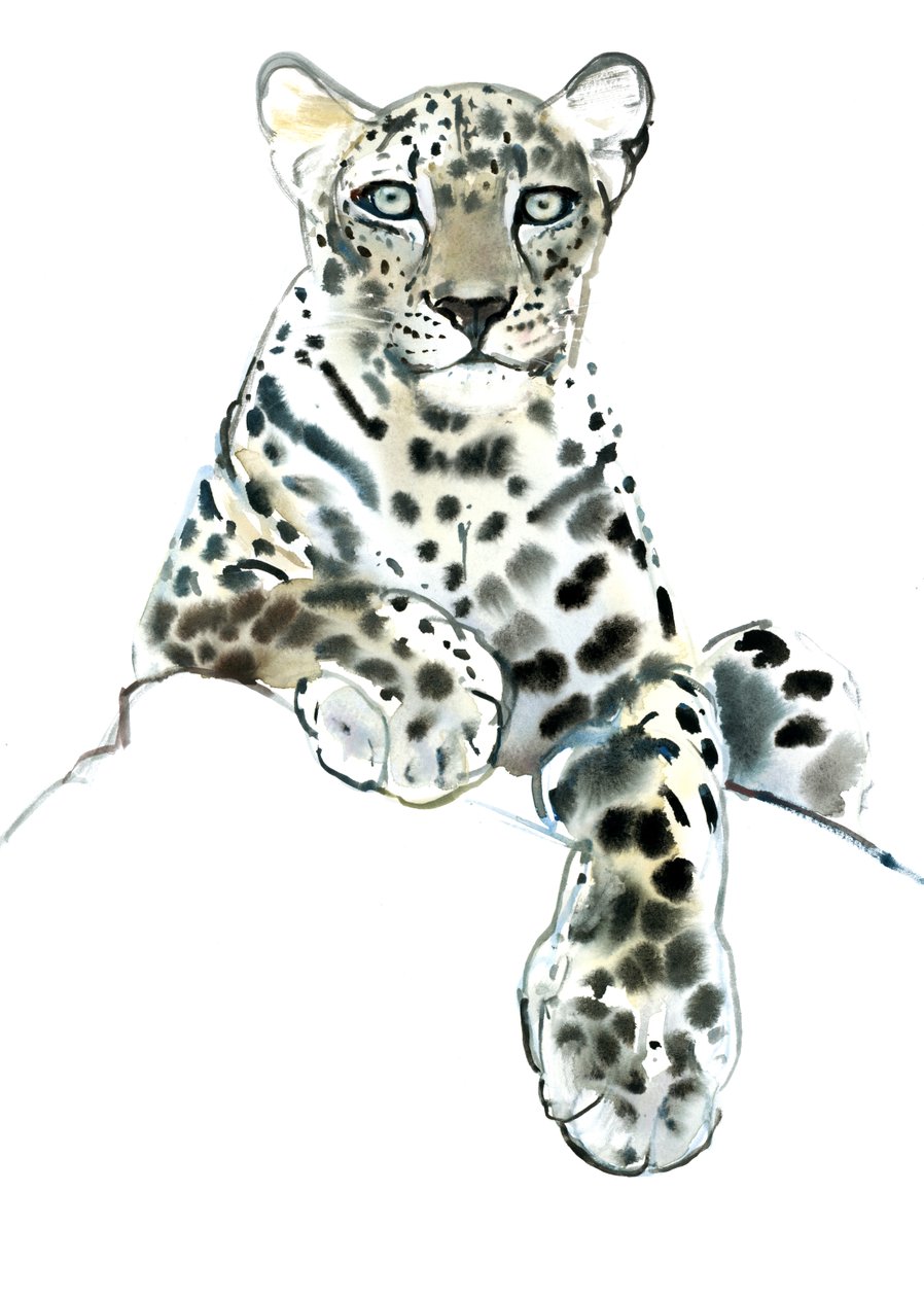 Direct (arabisk leopard), 2015, (akvarell och gouache på papper) av Mark Adlington
