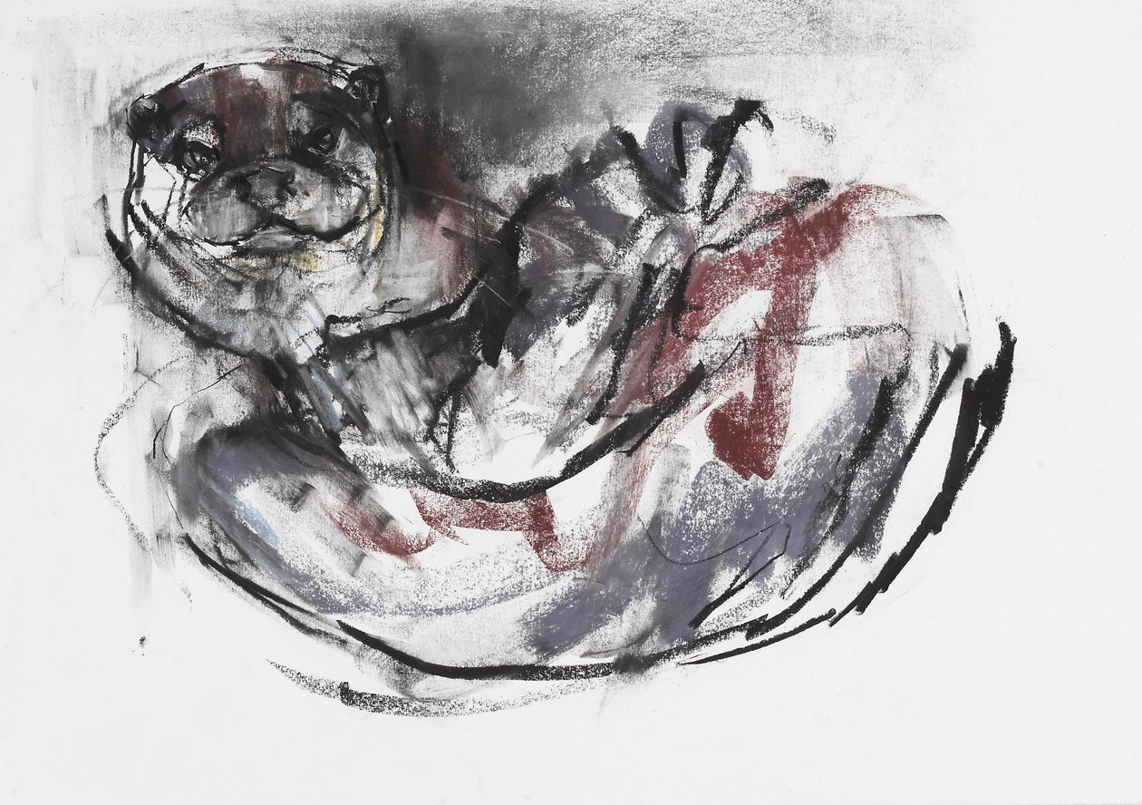 Dog Otter (charcoal und conte på papper) av Mark Adlington