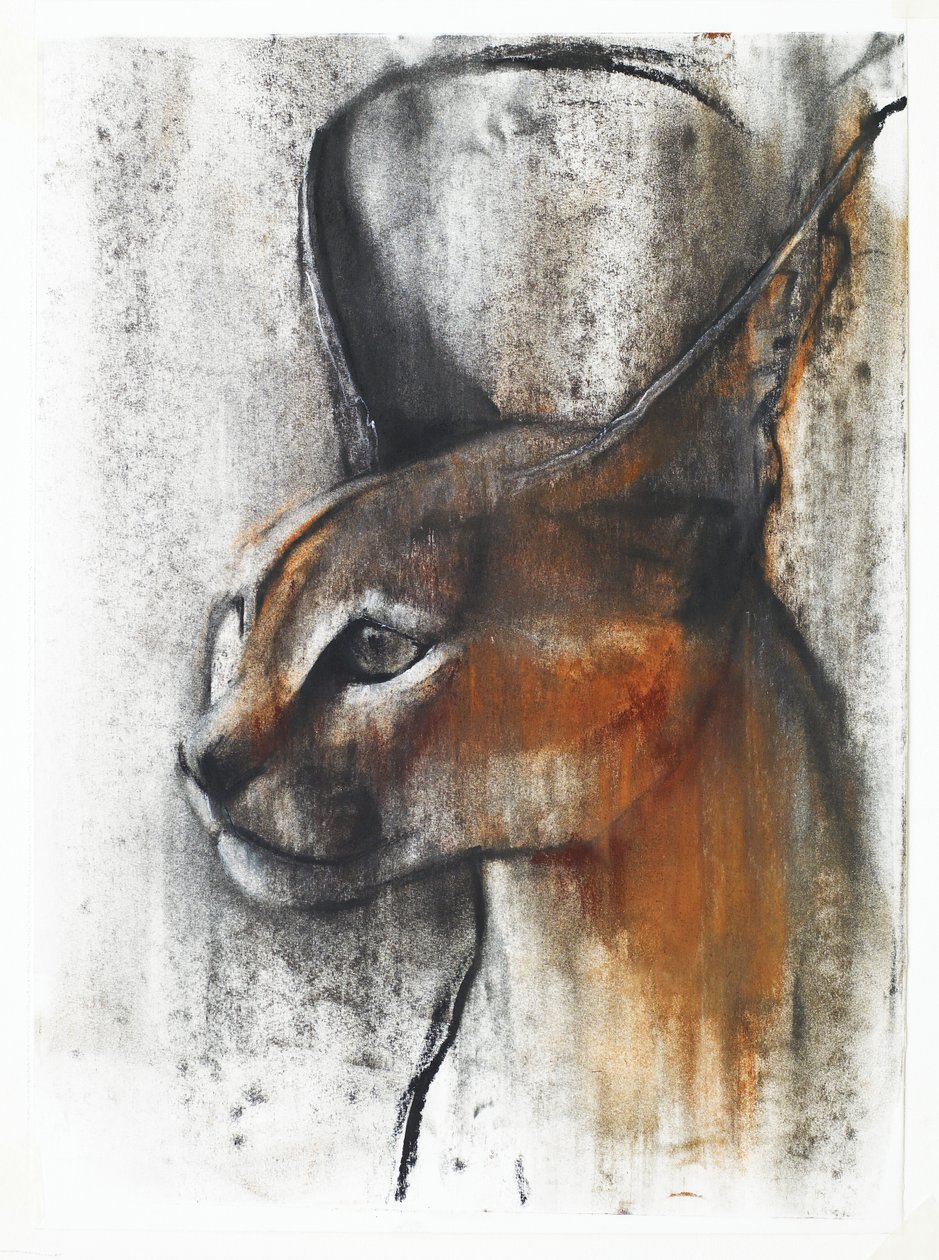 Egyptisk (Arabisk Caracal), 2009 (conte und charcoal på papper) av Mark Adlington