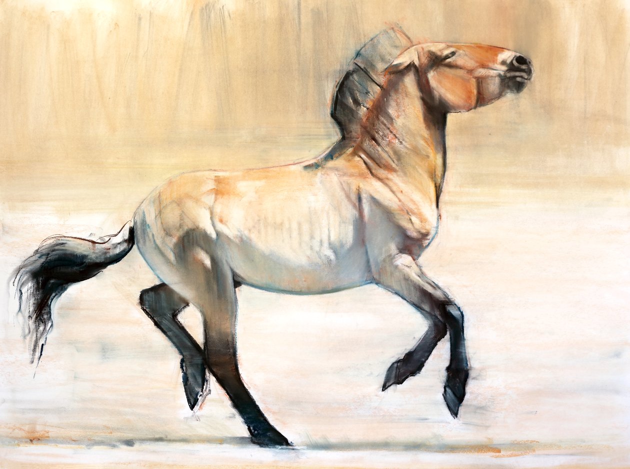 Equus (Przewalski), 2014, (pastell och träkol på papper) av Mark Adlington