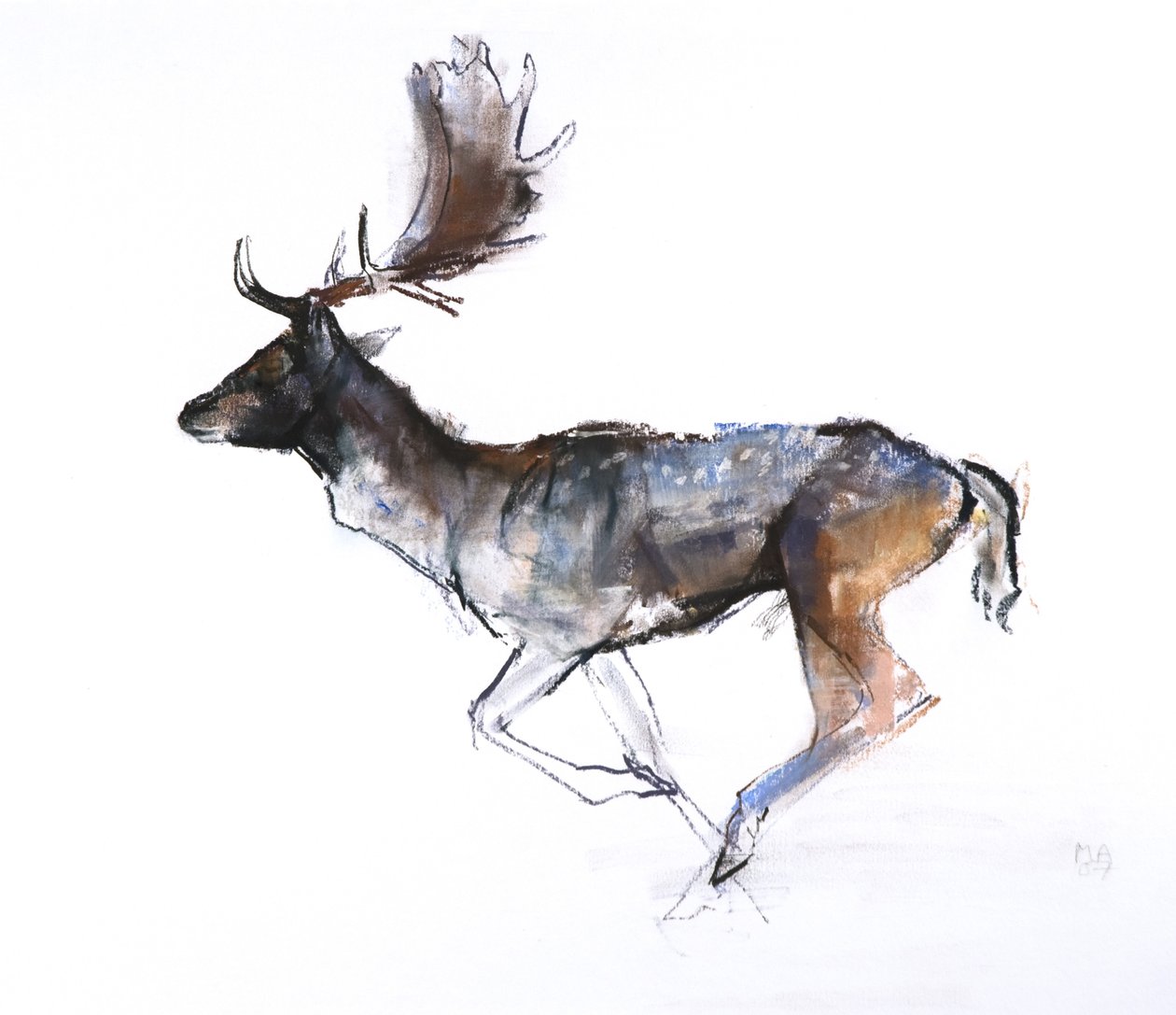 Evening Buck (Dovhjort), 2007, (pastell och conté på papper) av Mark Adlington