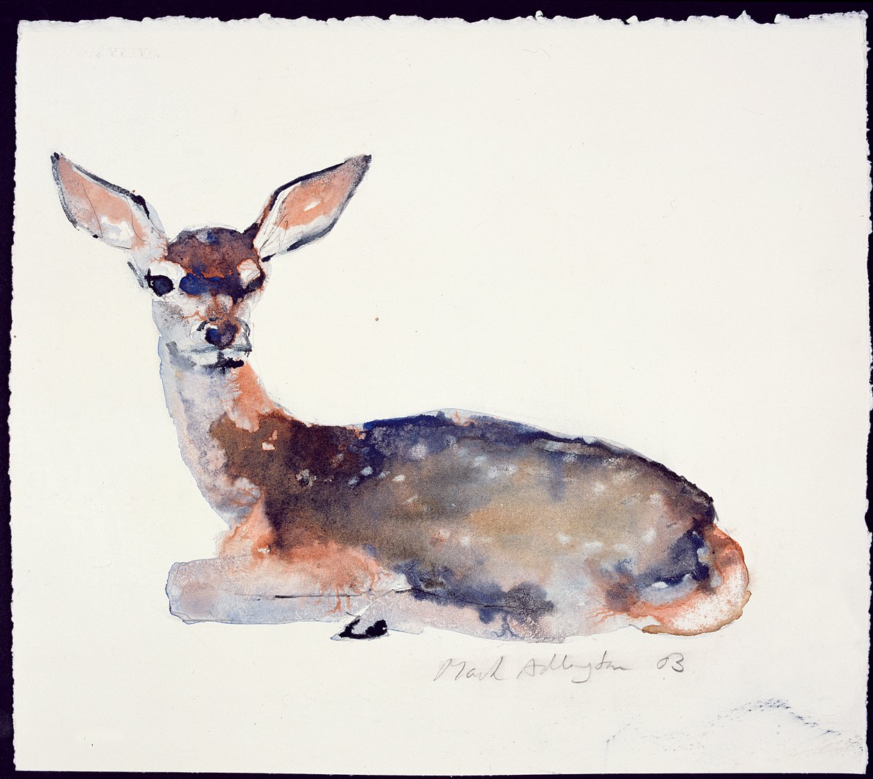Fawn, 2003 (bläck och akvarell på papper) av Mark Adlington