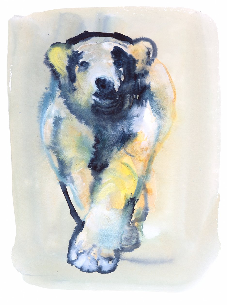 Fearless, 2015, (akvarell och gouache på papper) av Mark Adlington