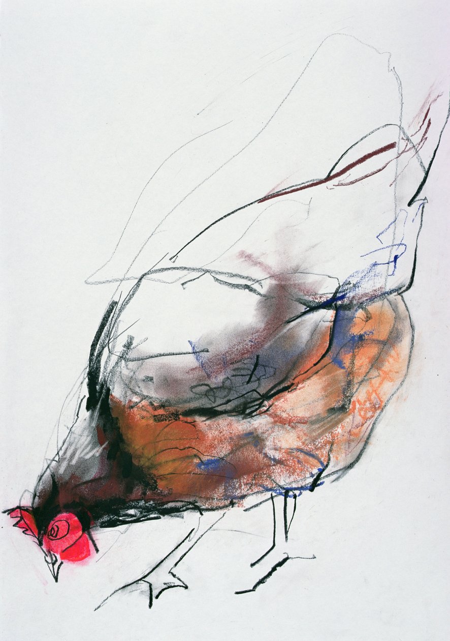 Feeding Hen, Trasierra, 1998 (grafit, conte och kol på papper) av Mark Adlington