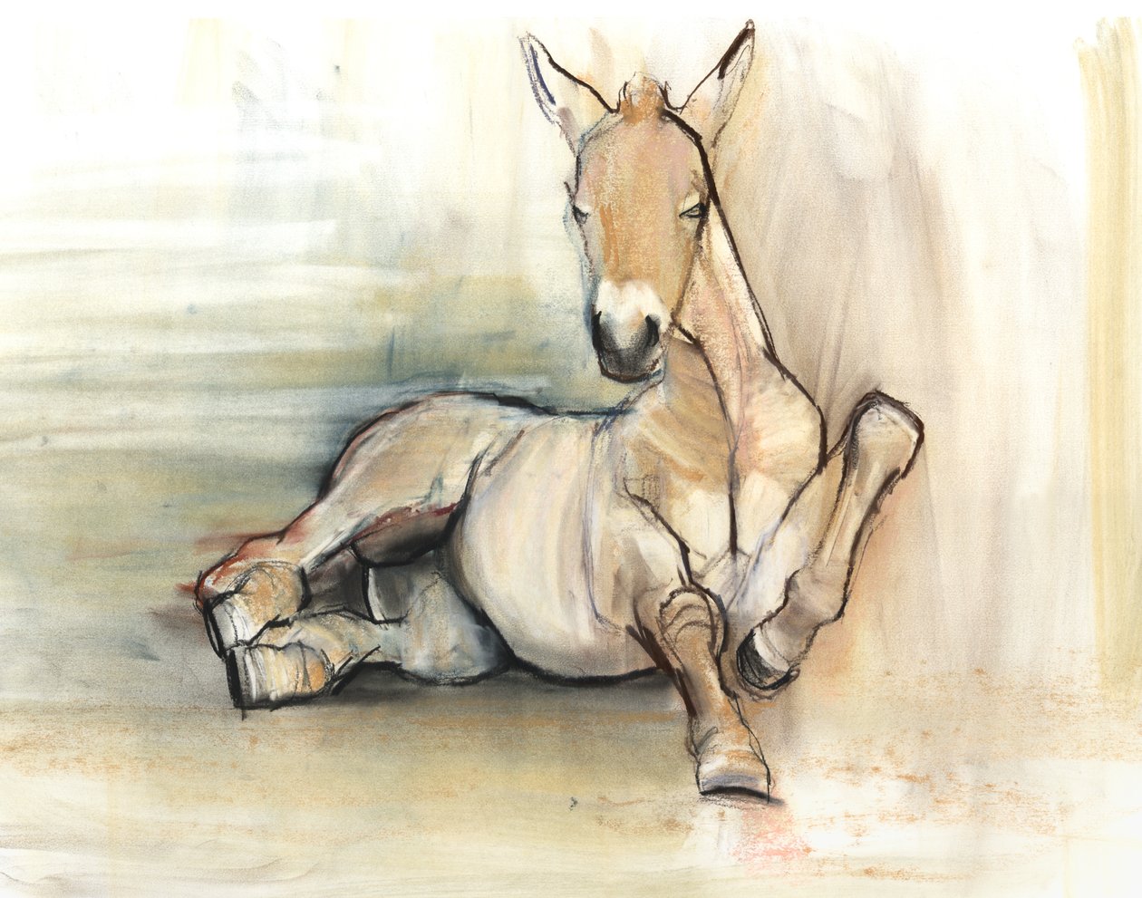 Foal, 2012, (kol conté och pastell på papper) av Mark Adlington