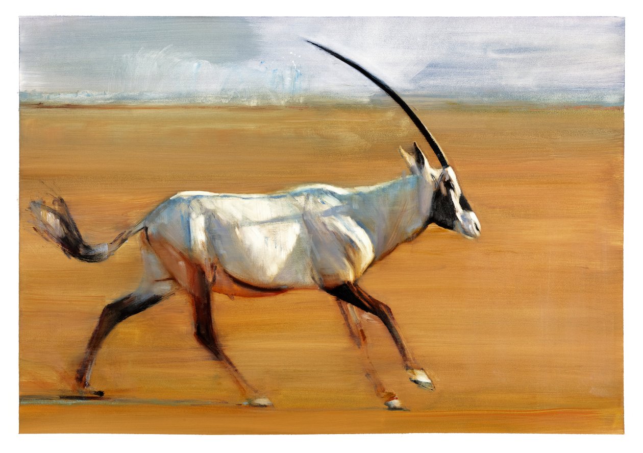 Galopperande Oryx, 2010 (olja på papper) av Mark Adlington