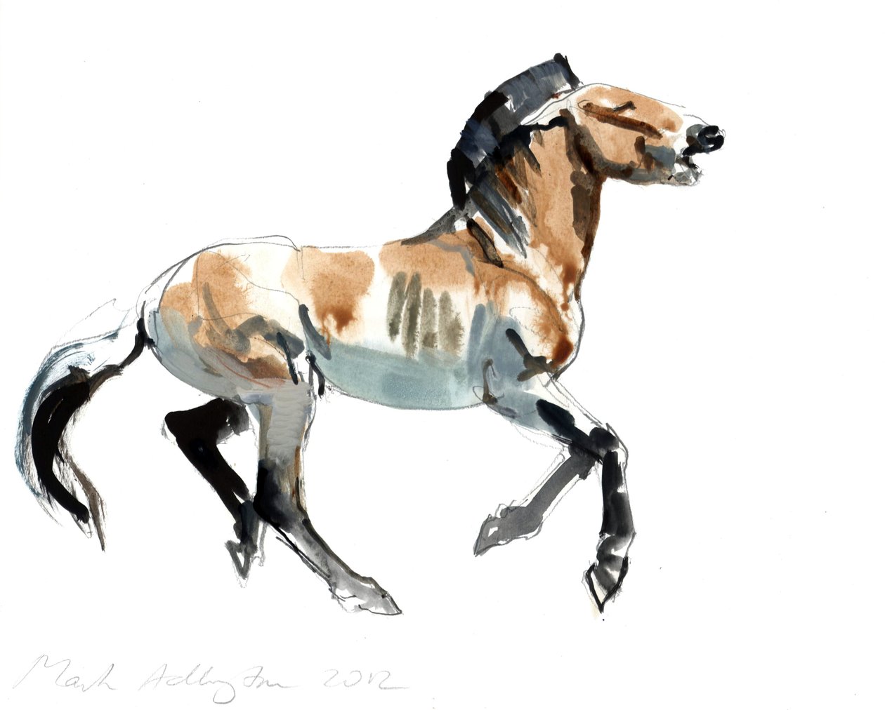 Grekiska (Przewalski), 2012, (blandteknik på papper) av Mark Adlington