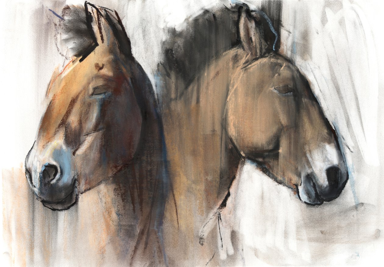 Head Study (Przewalski) 2012, (kol, conté och pastell på papper) av Mark Adlington