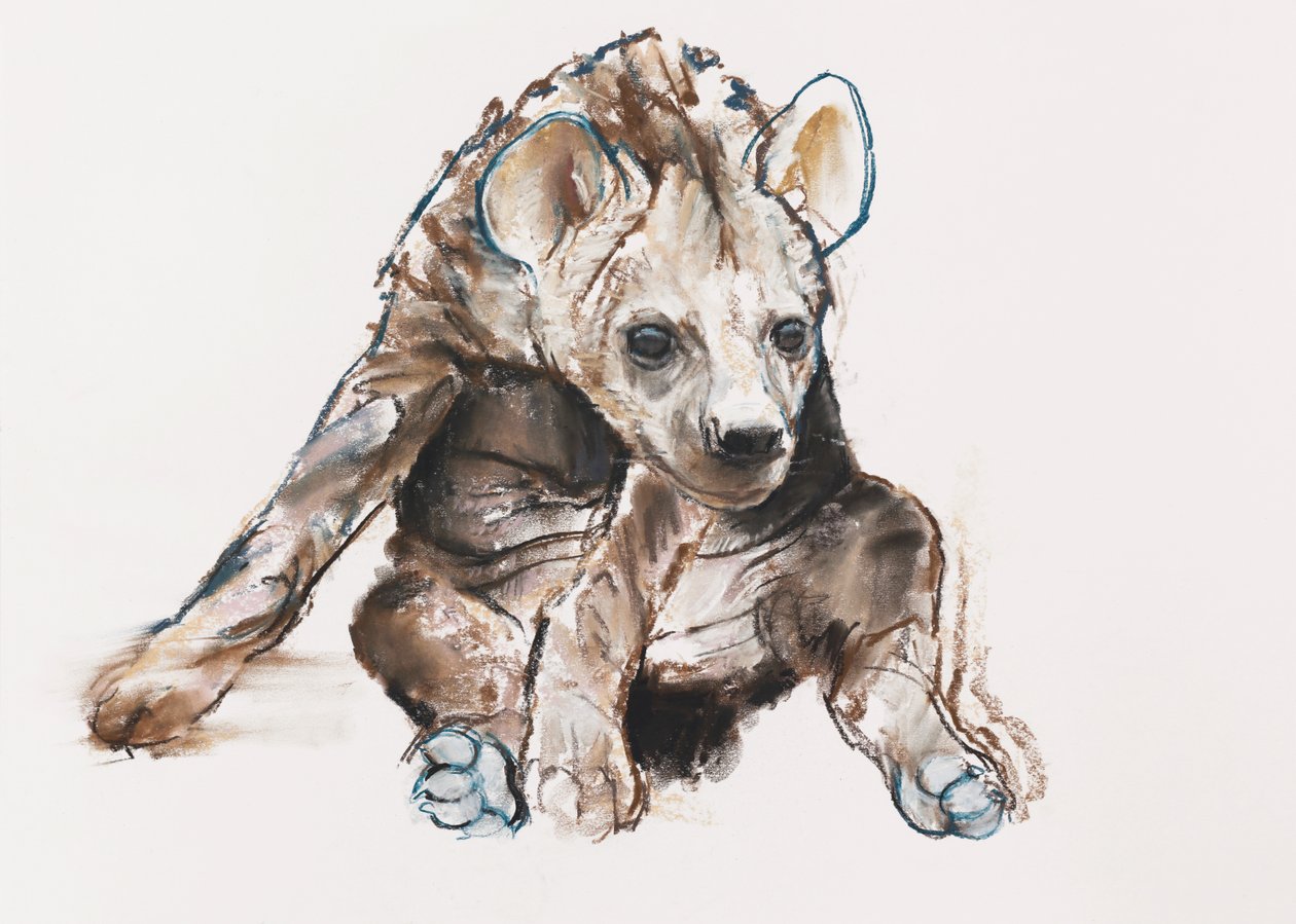 Hyaena Pup (huvudet ner), 2019 av Mark Adlington