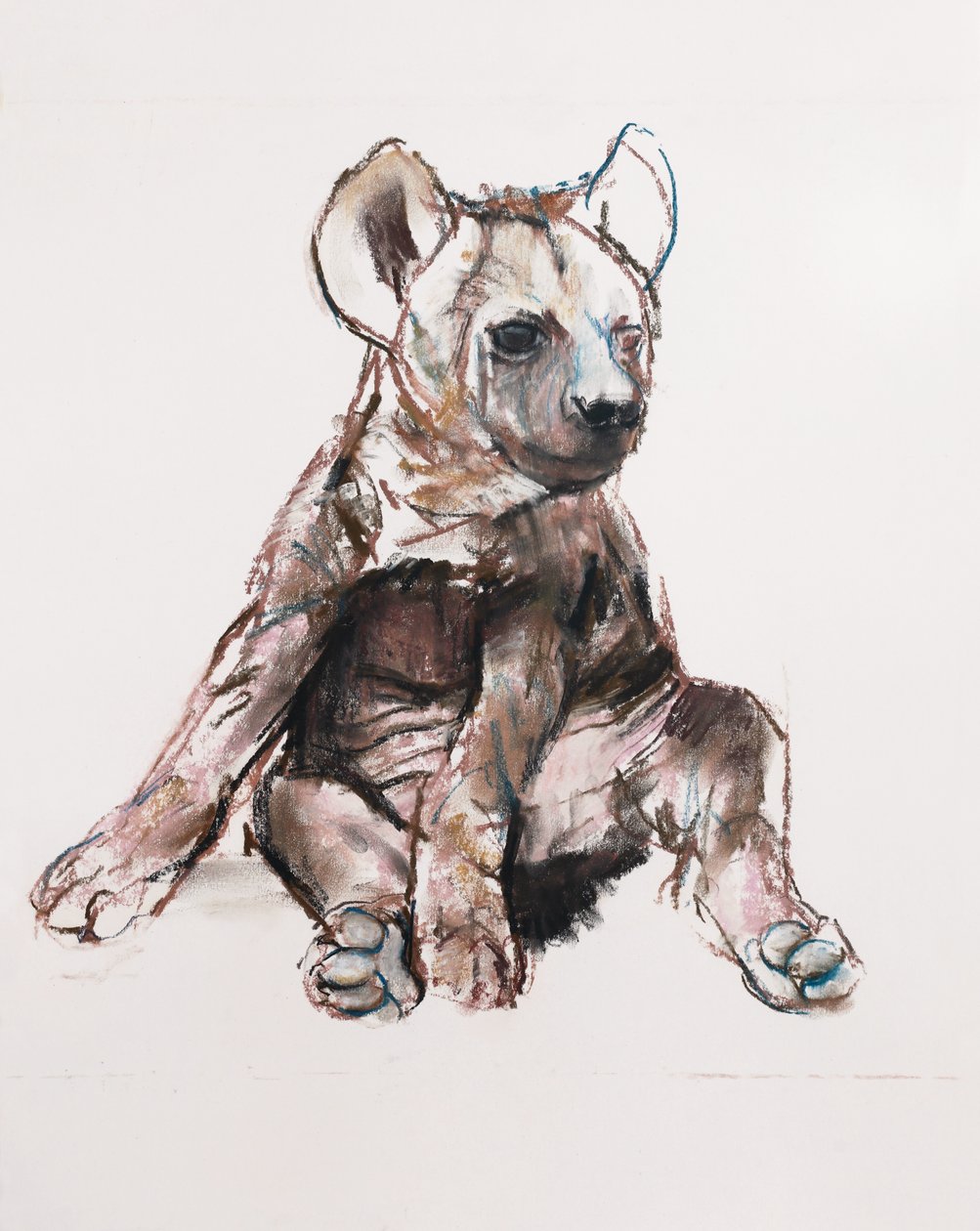 Hyaena Pup (sitter upp), 2019 av Mark Adlington