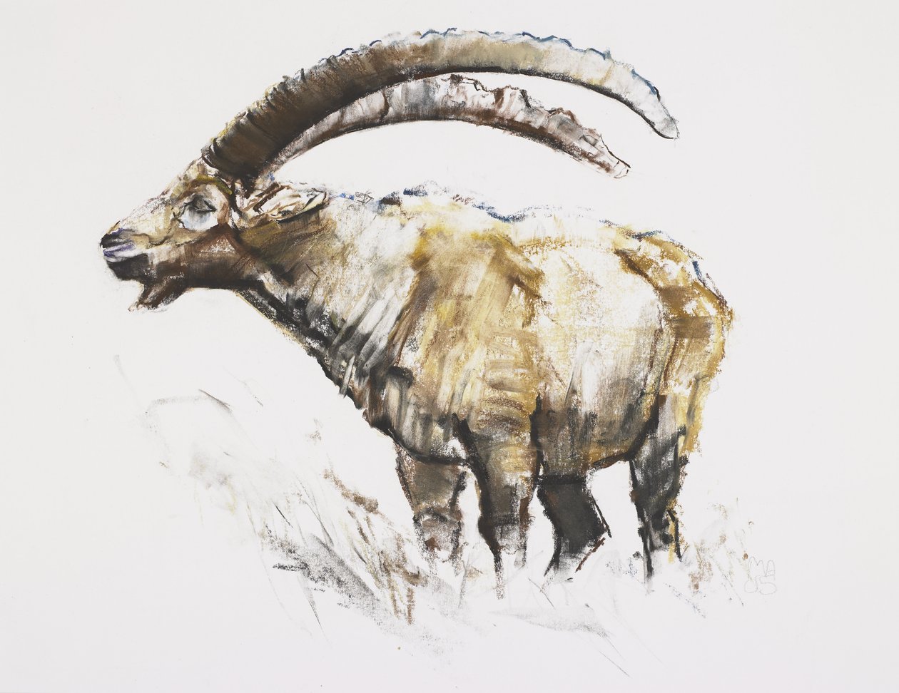 Ibex, Noasca (kol och conte på papper) av Mark Adlington