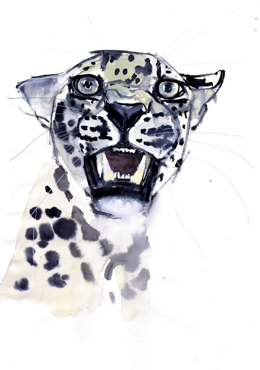 Incisor Snarl (arabisk leopard), 2008 av Mark Adlington