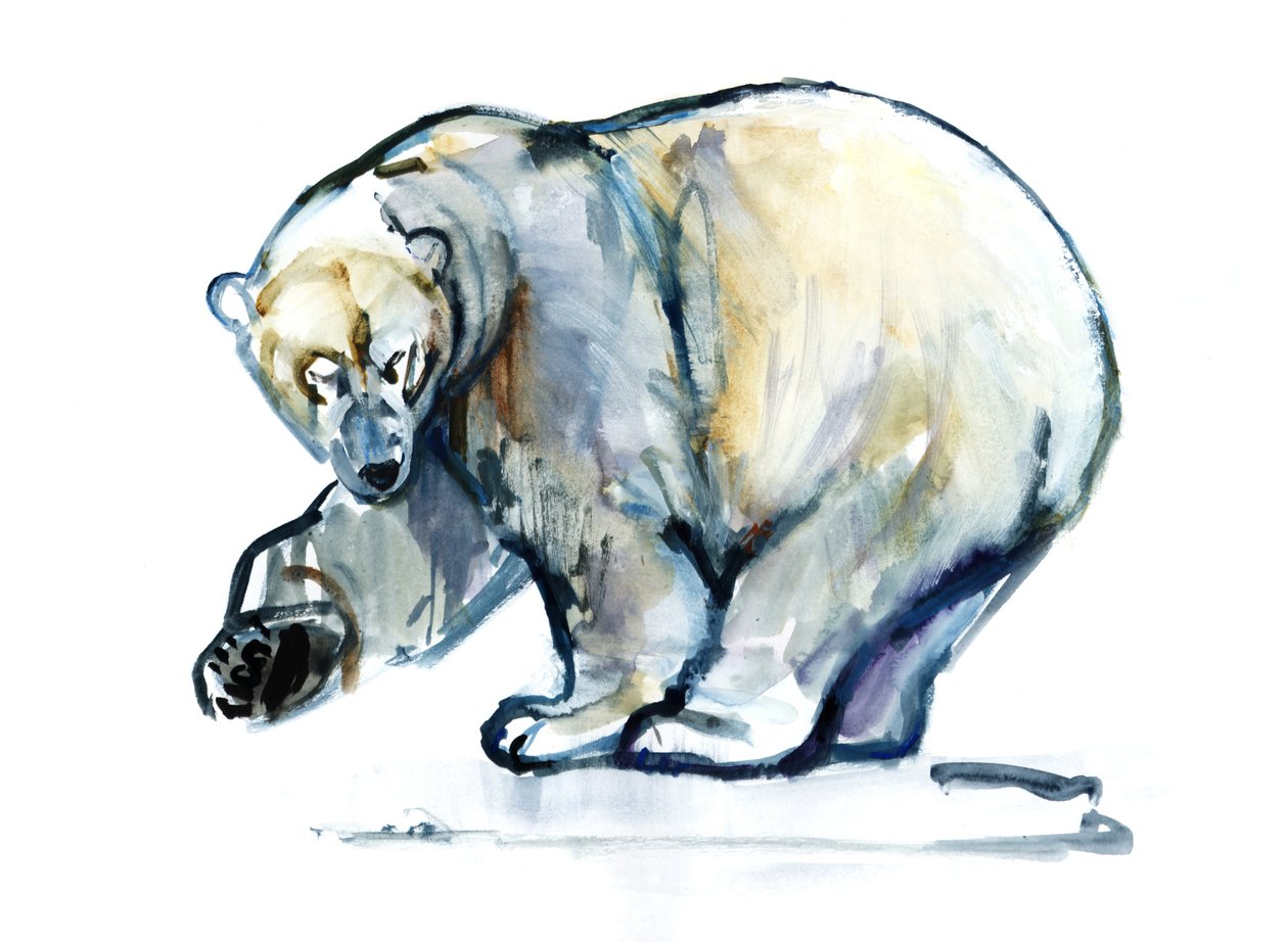 Isbjørn,2013,(akvarell och gouache på papper) av Mark Adlington