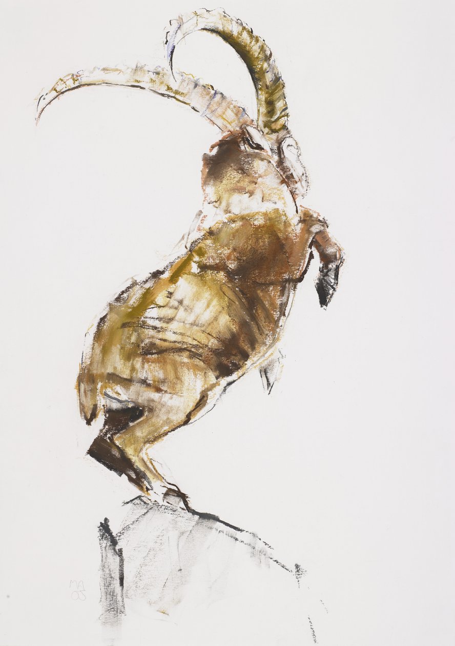 King of the Mountain, 2005 (charcoal und conte på papper) av Mark Adlington