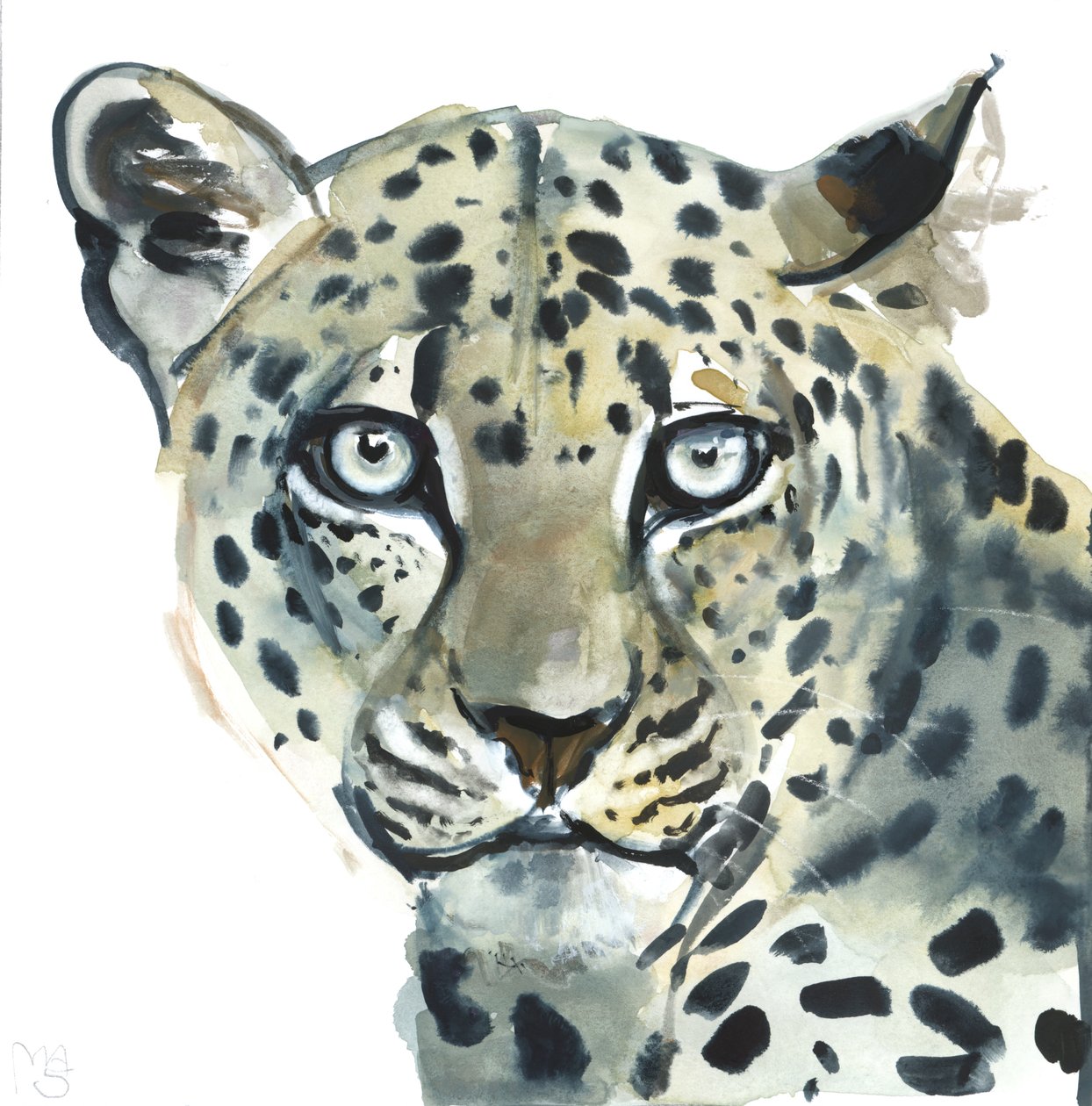 Leopard, 2015, (akvarell på papper) av Mark Adlington