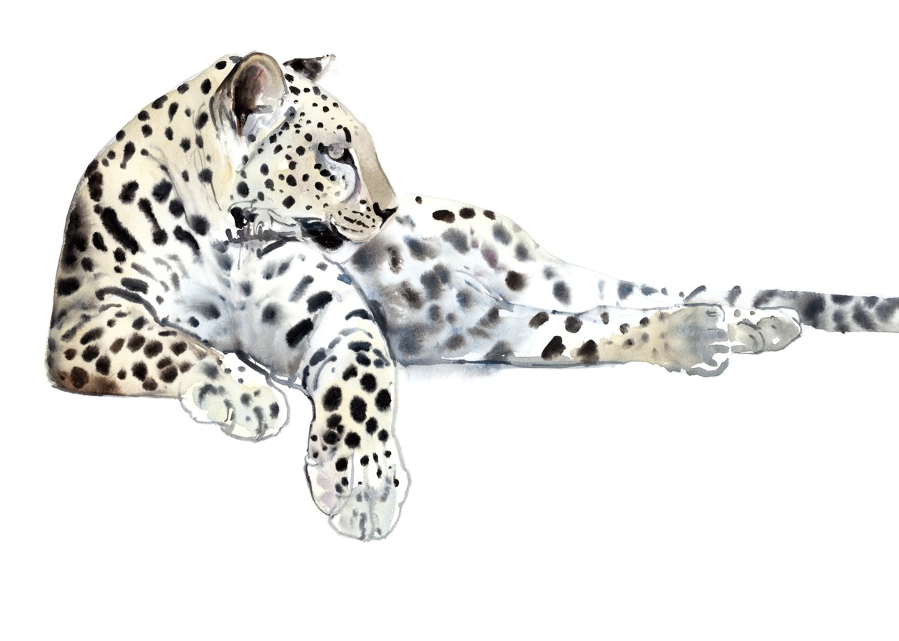 Lång (arabisk leopard), 2015, (akvarell och gouache på papper) av Mark Adlington