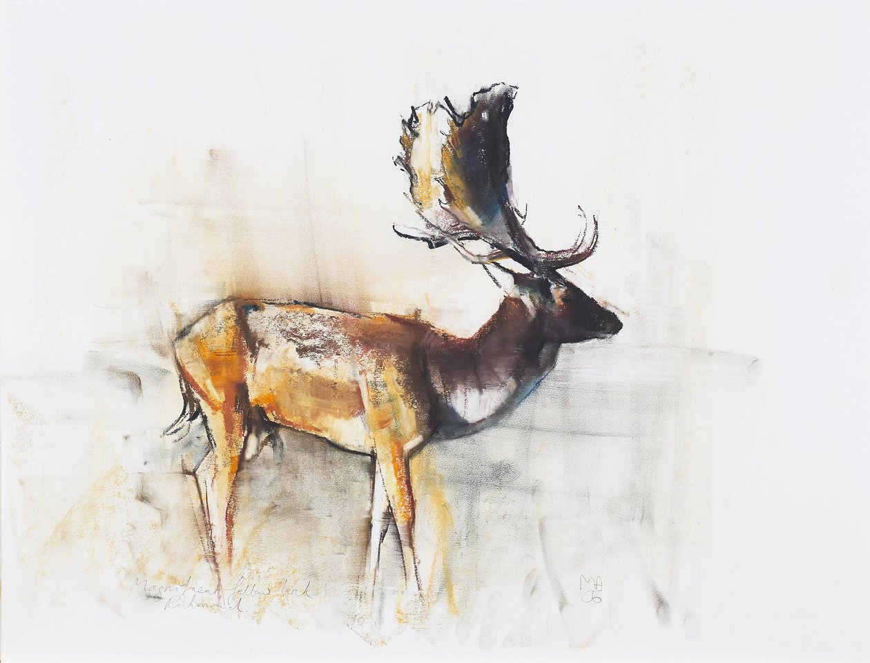 Magnificent Fallow Buck, 2006 (kol och conte på papper) av Mark Adlington
