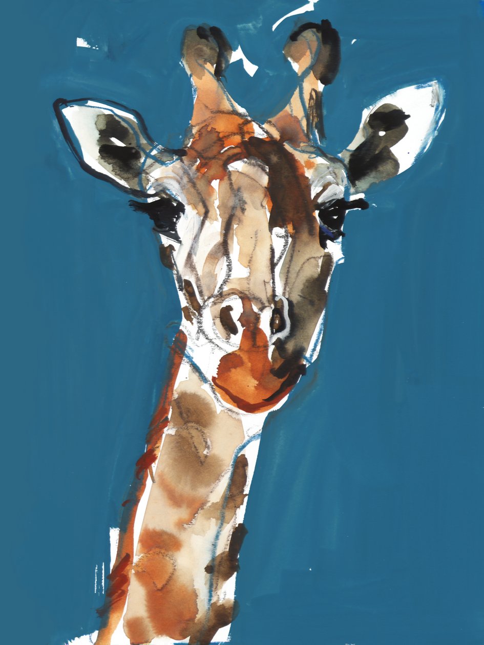 Masai giraff, 2018 av Mark Adlington