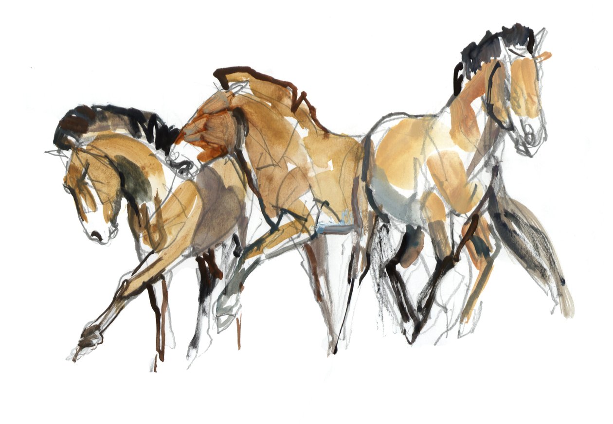 Mistral Three (Przewalski), 2013 (sennelier bläck, akvarell och gouache) av Mark Adlington