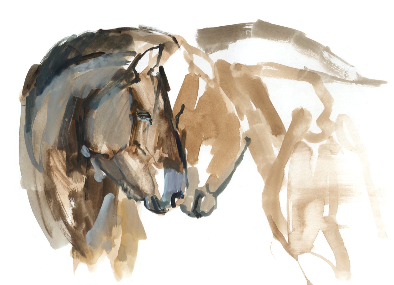 Nose to Nose (Przewalski), 2013 (sennelier bläck, akvarell och gouache) av Mark Adlington