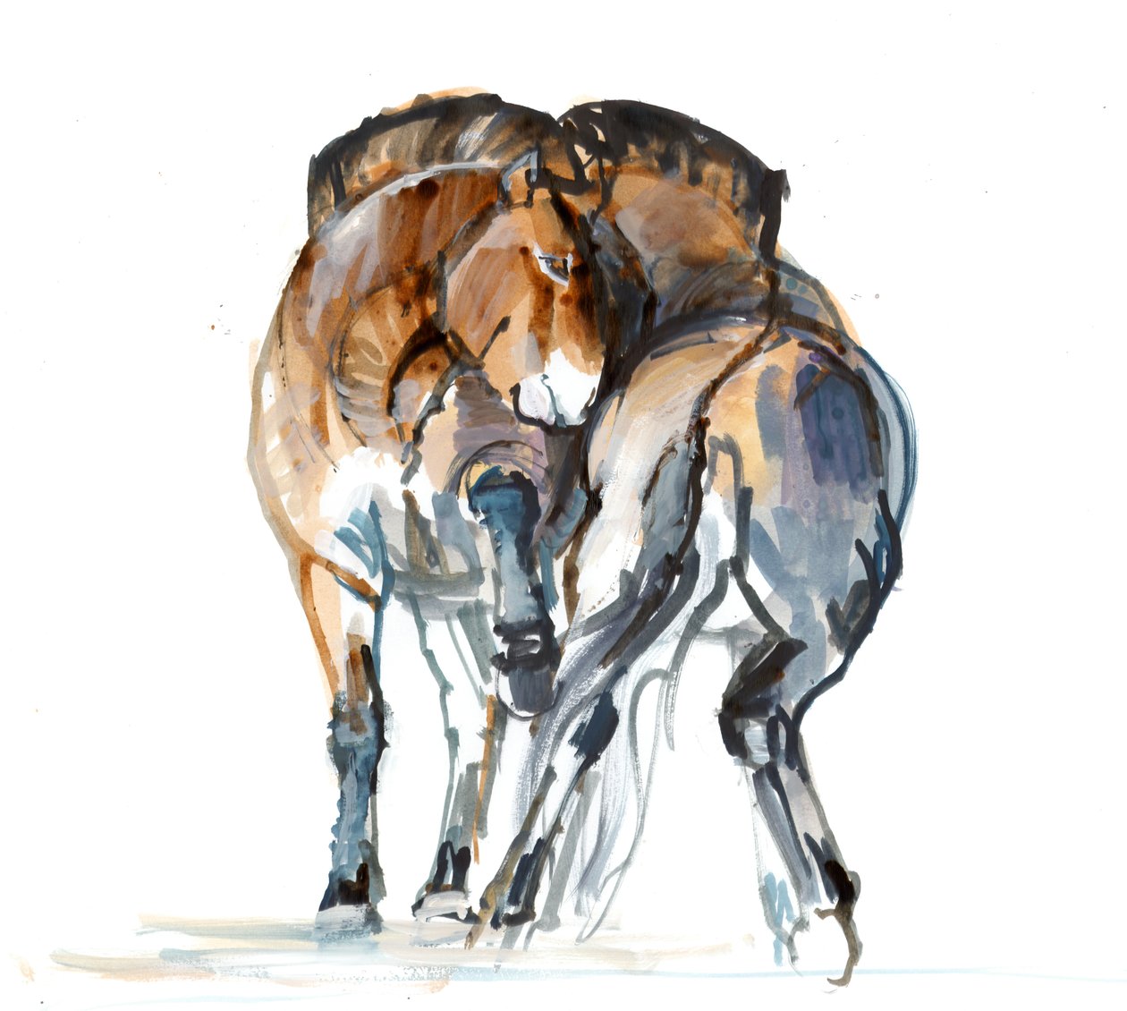 Power Dance (Przewalski), 2013 (sennelierbläck, akvarell och gouache) av Mark Adlington