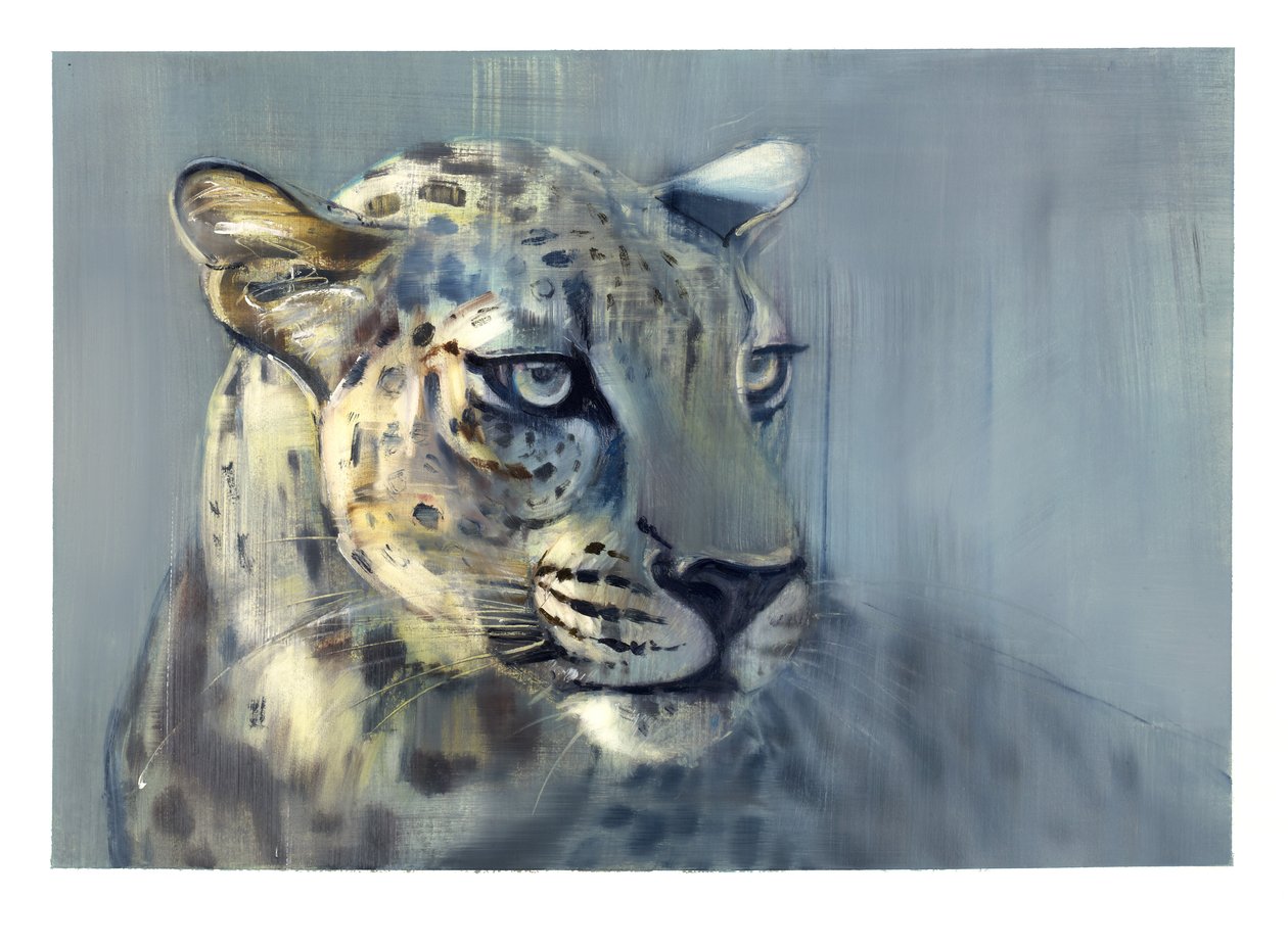 Predator II (arabisk leopard), 2009 (olja på papper) av Mark Adlington