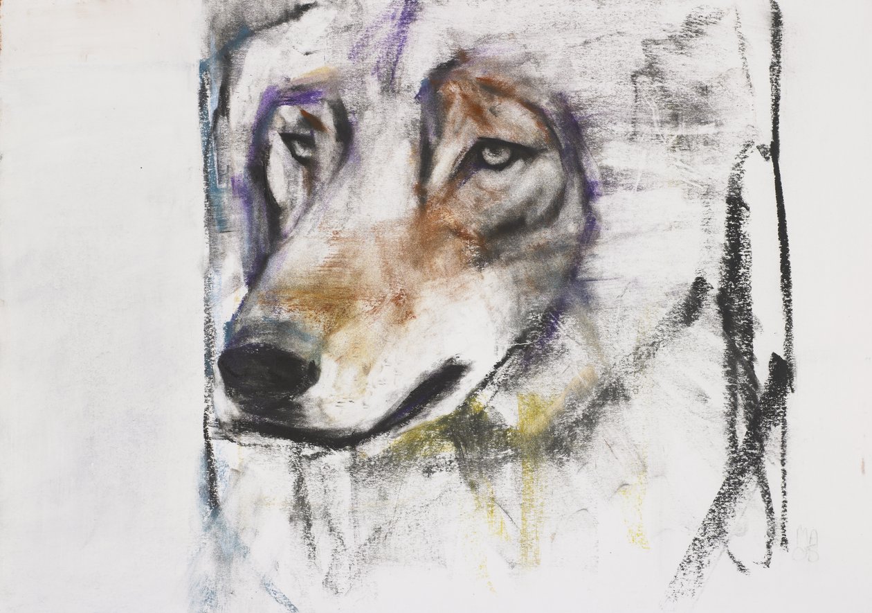 Processo Al Lupo (blandmaterial på papper) av Mark Adlington