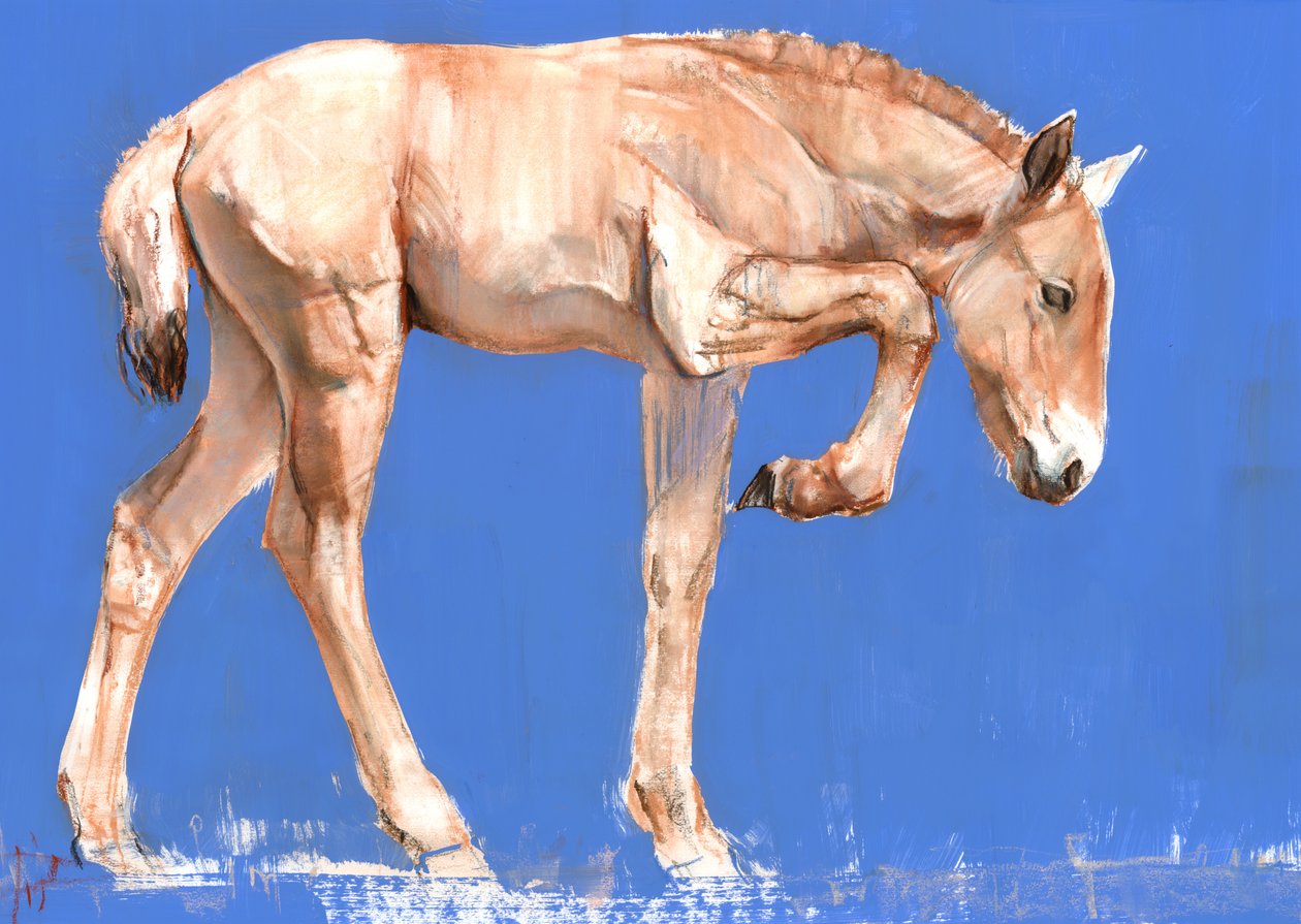 Przewalski Foal, 2012, (blandad media på papper) av Mark Adlington